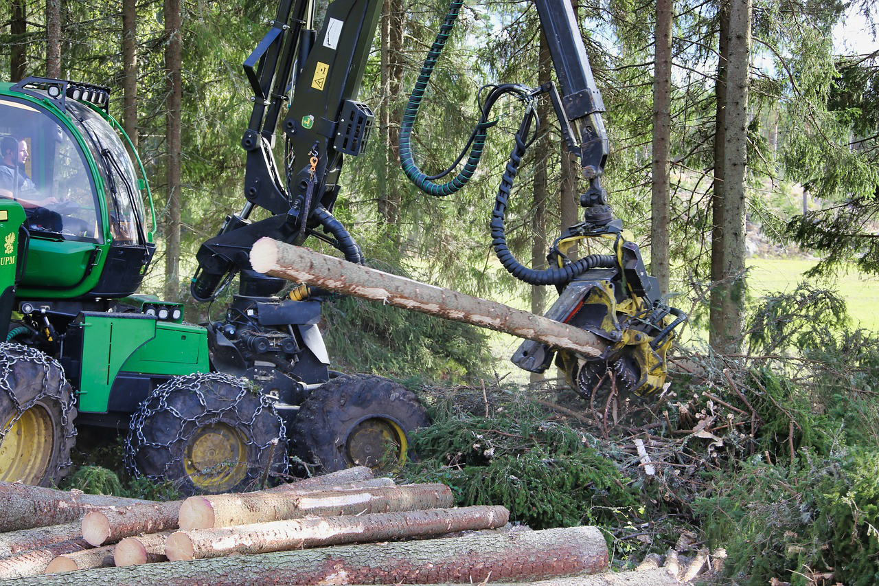 Metsäkone työskentelee