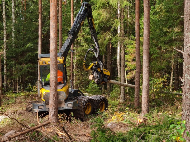 Metsäkone kaataa puita