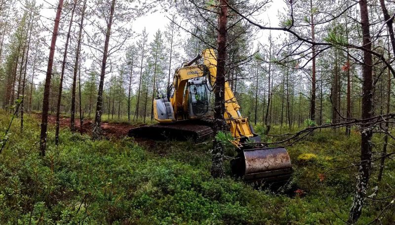 kaivinkone työssä metsässä