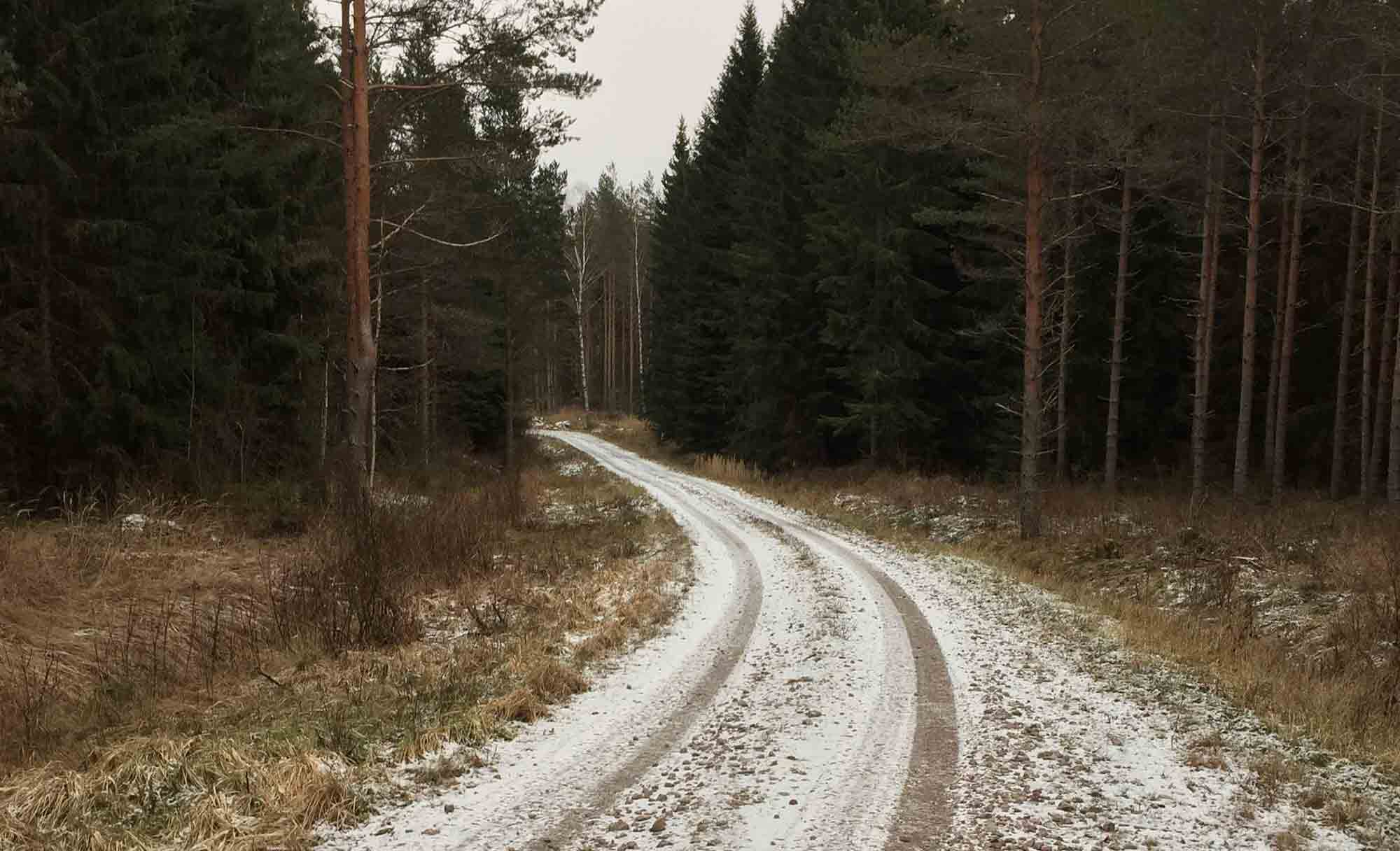 Laskuri metsäteiden kunnostukseen