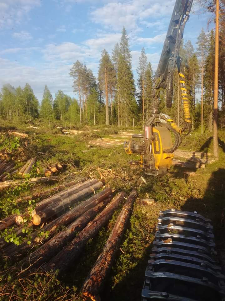 TTS metsäala