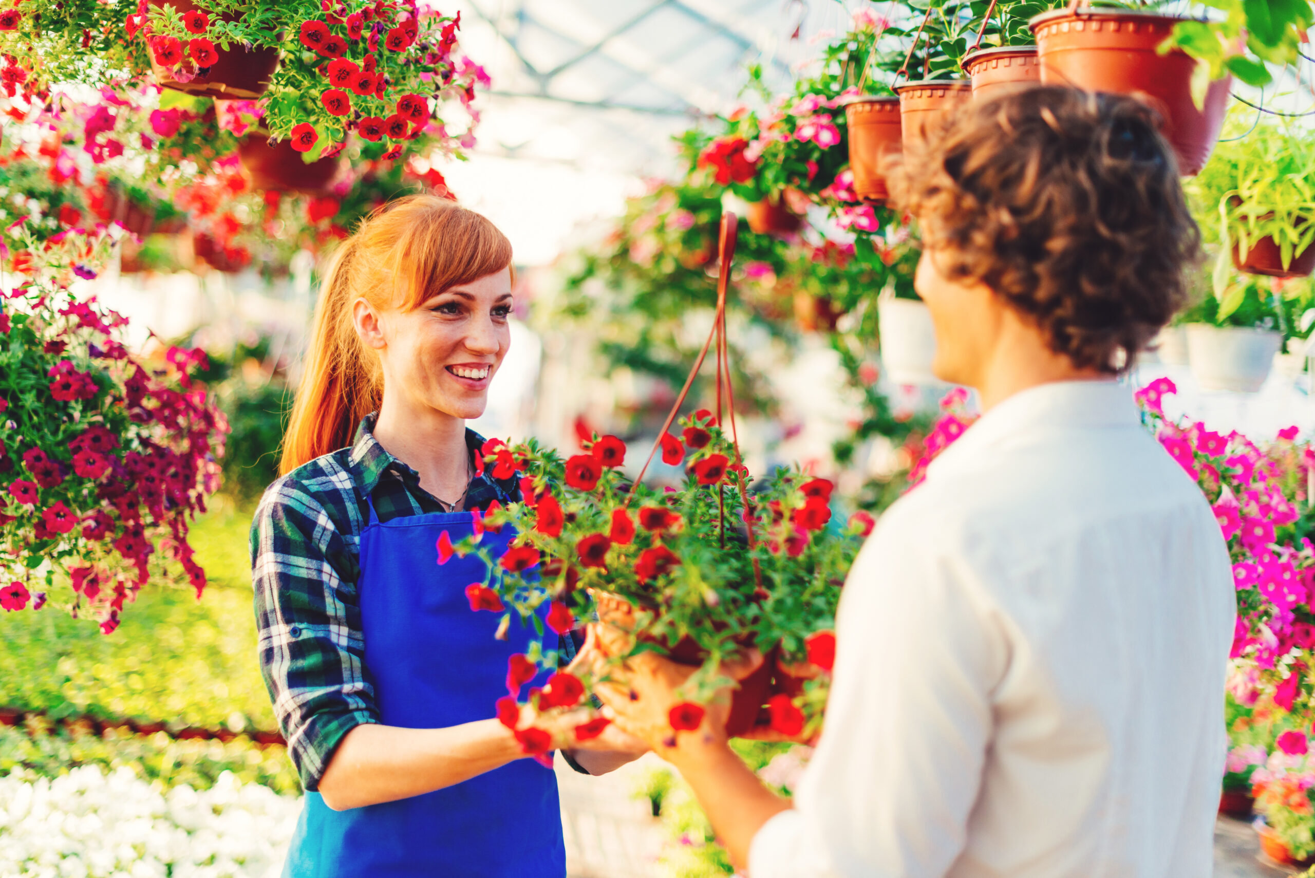 Myyntitapahtuma puutarhamyymälässä